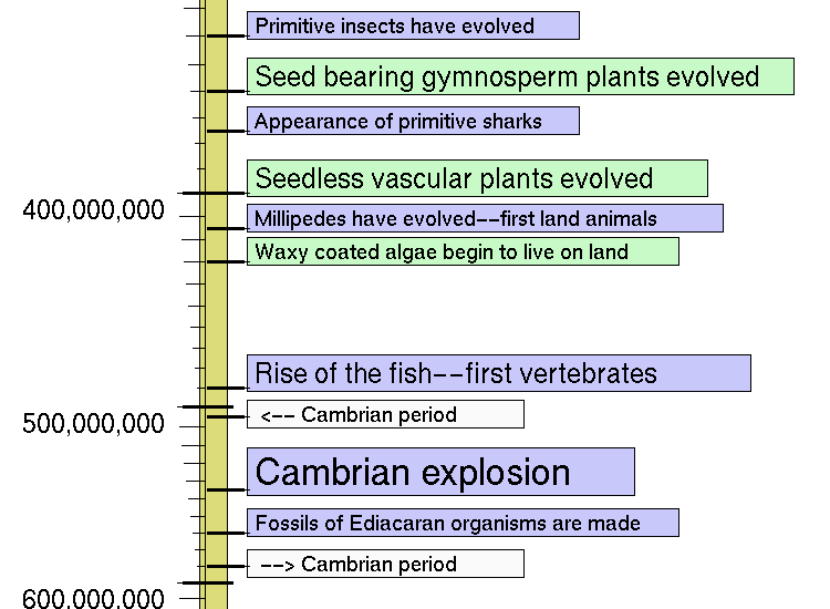 formation of the earth  timeline