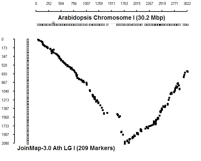 Joinmap Construction of high-density genetic map of Arabidopsis thaliana using ...